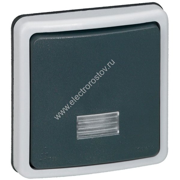 Plexo Серый Переключатель 1-клавишный,встраиваемый, в сборе,10А, IP66 Legrand