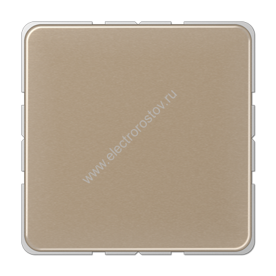 CD 500 Светлая бронза Заглушка JUNG