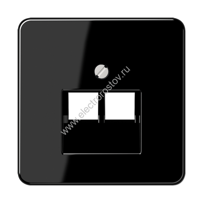 CD 500 Черный Накладка 2-ой наклонной ТЛФ/комп розетки JUNG