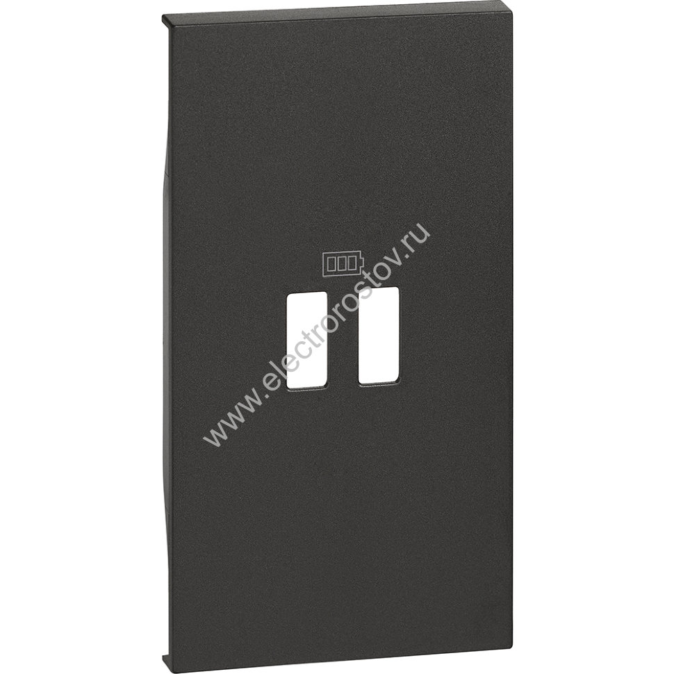 BT Living now Черный Лицевая панель для зарядных устройств USB 2 мод