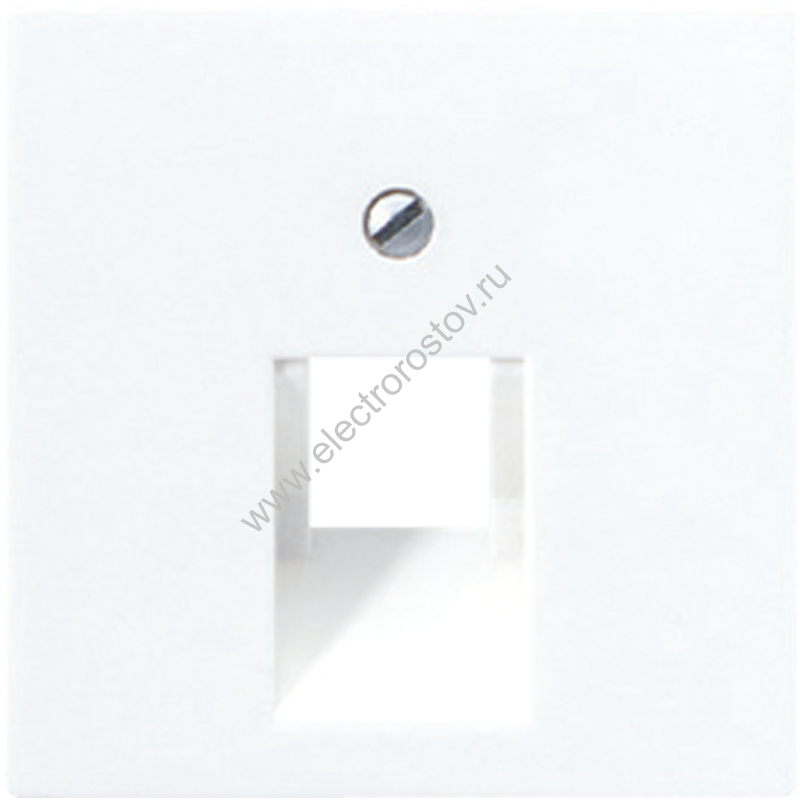 JUNG EcoProfi Белая Накладка 1-ой наклонной ТЛФ/комп розетки