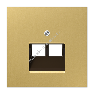 LS 990 Латунь классик Накладка 2-ой наклонной ТЛФ/комп розетки JUNG