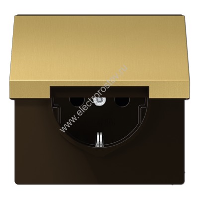 LS 990 Латунь классик Розетка с/з безвинт. с крышкой JUNG