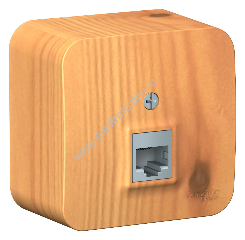 Blanca наруж Ясень Розетка компьютерная RJ45, кат.5E, изолир. пластина Schneider Electric