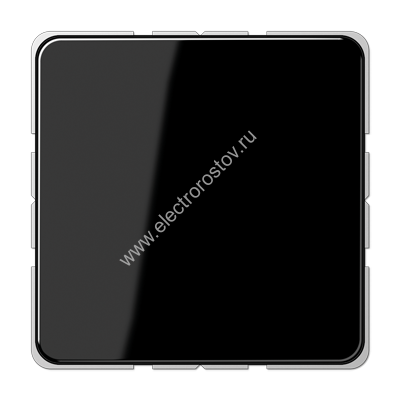 CD 500 Черный Заглушка JUNG