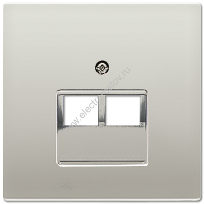 LS 990 Нержавеющая сталь Накладка 2-ой наклонной ТЛФ/комп розетки JUNG