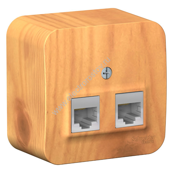 Blanca наруж Ясень Розетка 2-ая компьютерная RJ45, кат.5E, изолир. пластина Schneider Electric