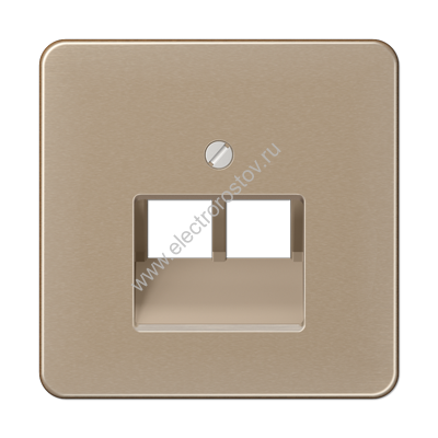 CD 500 Светлая бронза Накладка 2-ой наклонной ТЛФ/комп розетки JUNG