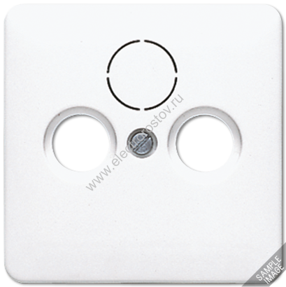 CD 500 Светлая бронза Накладка TV-FM-SAT JUNG