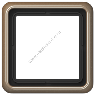 CD 500 Светлая бронза Рамка 1-ая JUNG