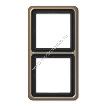 CD 500 Светлая бронза Рамка 2-ая JUNG