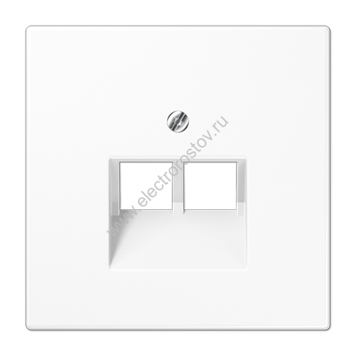 LS 990 Белый глянцевый Накладка 2-ой наклонной ТЛФ/комп розетки JUNG