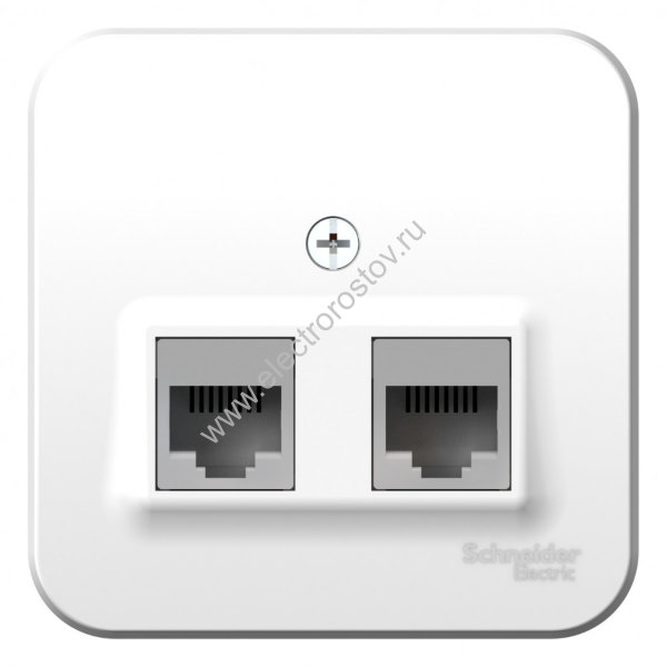 Blanca наруж Белый Розетка 2-ая компьютерная RJ45, кат.5E, изолир. пластина Schneider Electric