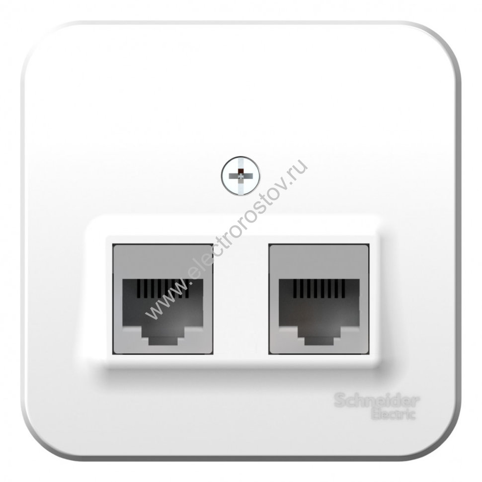 Blanca наруж Белый Розетка 2-ая компьютерная RJ45, кат.5E, изолир. пластина Schneider Electric