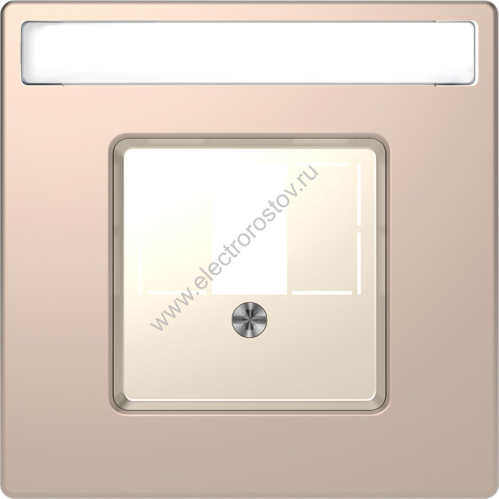 Schneider Electric Merten D-Life Шампань Накладка центральная для TAE/Audio/USB