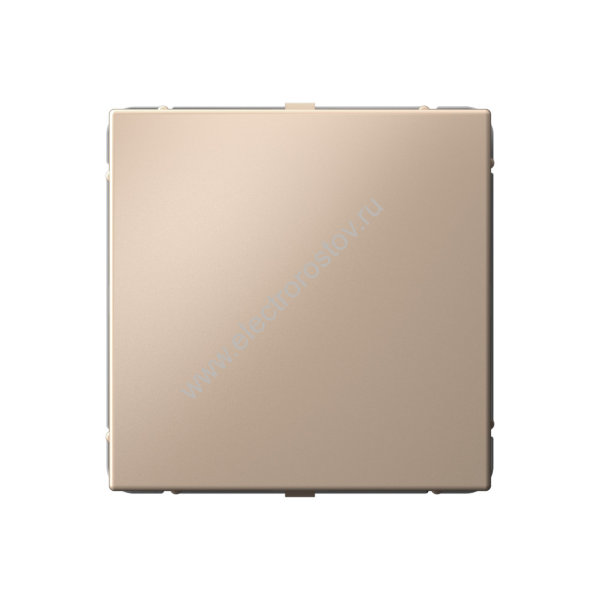 Systeme Electric ArtGallery Песочный Заглушка без суппорта для многопостовых рамок