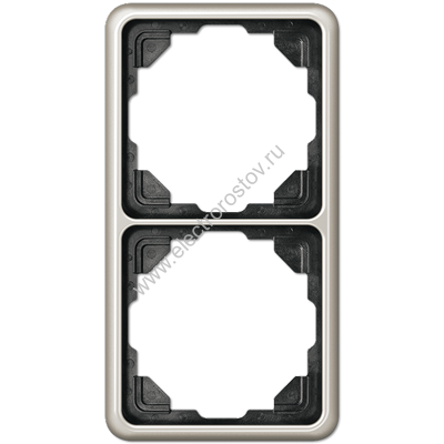 CD 500 Платина Рамка 2-ая JUNG