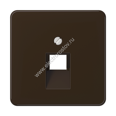 CD 500 Коричневый Накладка 1-ой наклонной ТЛФ/комп розетки JUNG