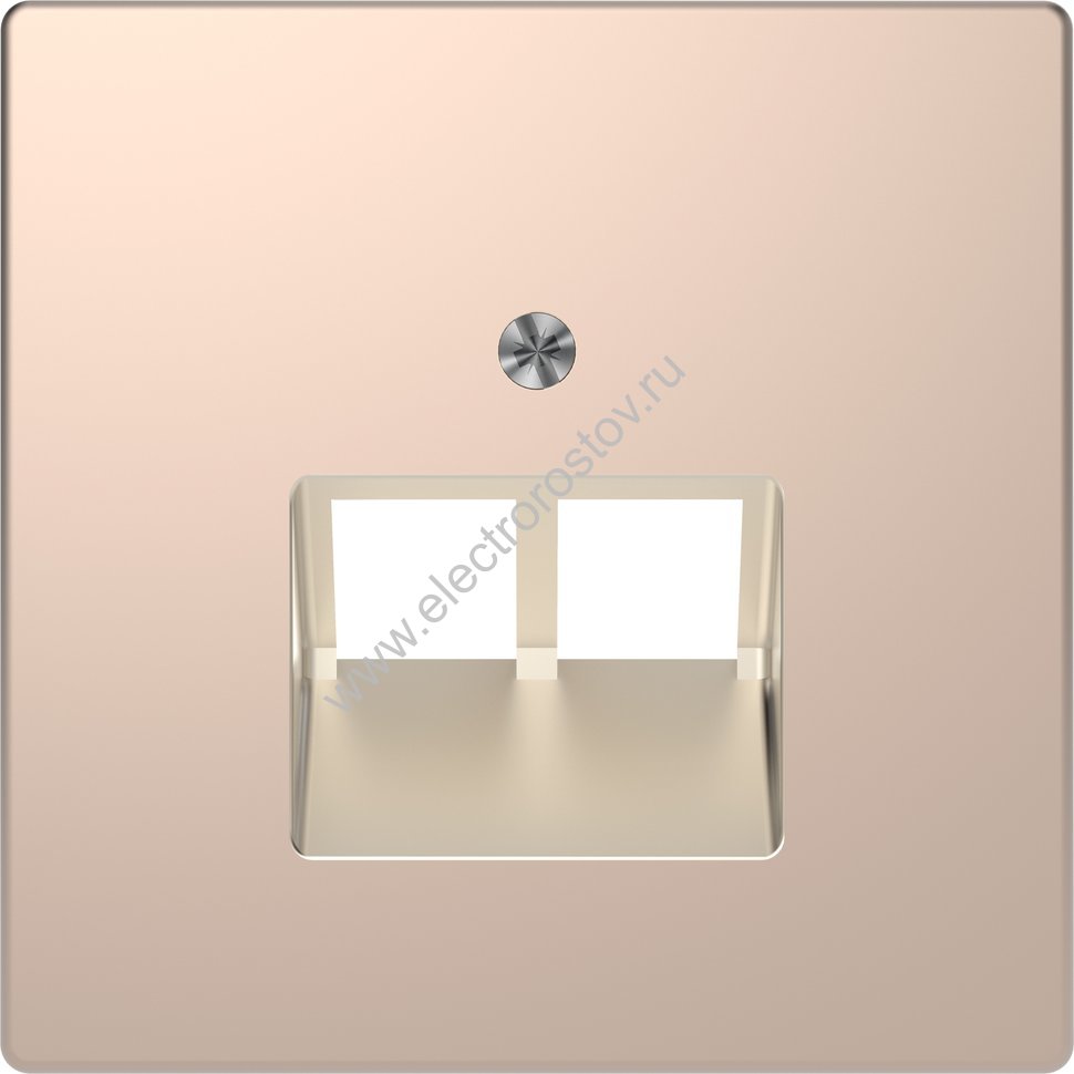 Merten D-Life Шампань Накладка центральная для розетки 2-ной RJ45 Schneider Electric